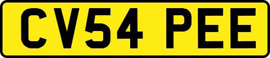CV54PEE