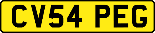 CV54PEG