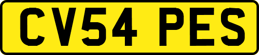 CV54PES