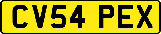 CV54PEX