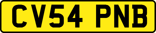 CV54PNB