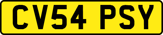 CV54PSY