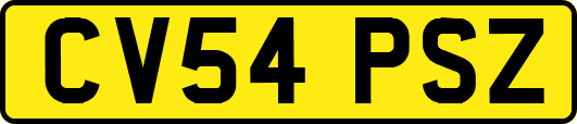 CV54PSZ