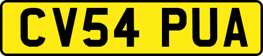 CV54PUA