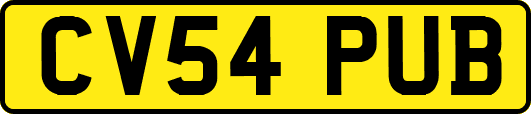 CV54PUB