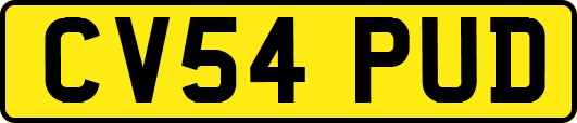CV54PUD