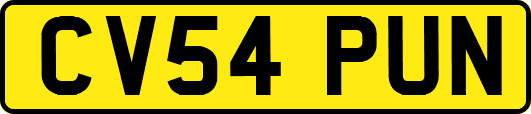 CV54PUN