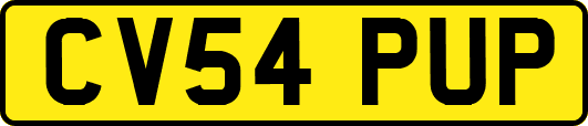 CV54PUP