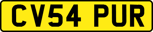 CV54PUR