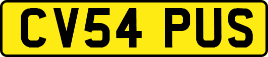 CV54PUS