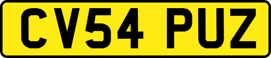 CV54PUZ