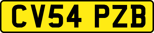 CV54PZB