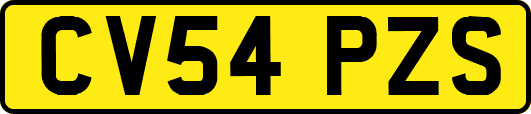 CV54PZS