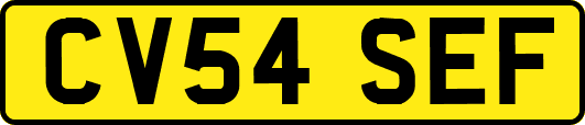 CV54SEF