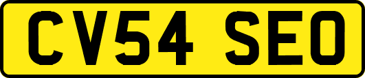 CV54SEO