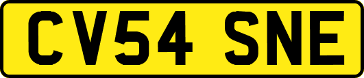 CV54SNE