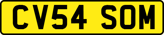 CV54SOM