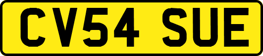CV54SUE