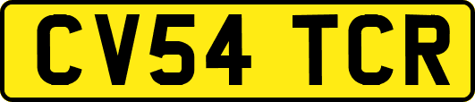 CV54TCR