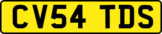 CV54TDS
