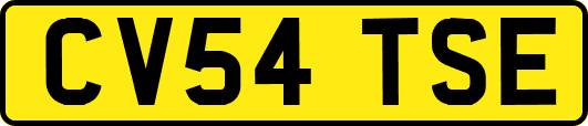 CV54TSE