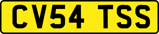CV54TSS