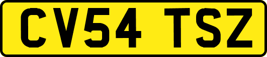 CV54TSZ