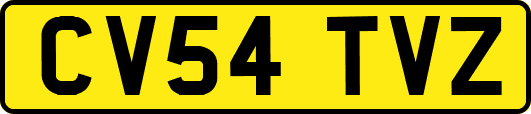 CV54TVZ