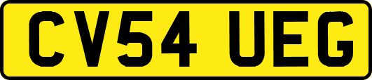 CV54UEG