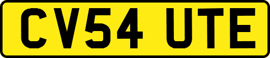 CV54UTE