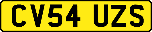 CV54UZS