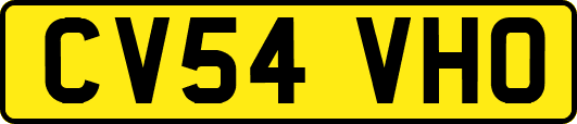 CV54VHO