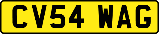 CV54WAG