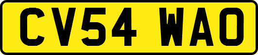 CV54WAO