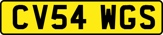 CV54WGS