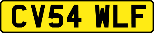 CV54WLF