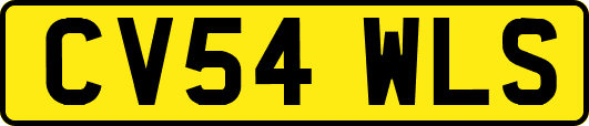CV54WLS