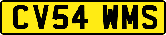 CV54WMS