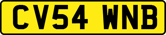 CV54WNB
