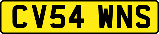 CV54WNS