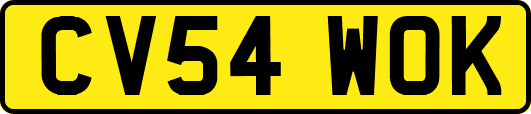 CV54WOK