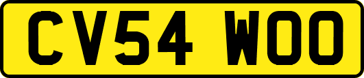 CV54WOO