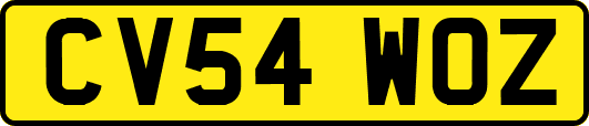 CV54WOZ
