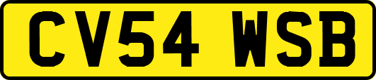 CV54WSB