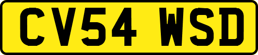 CV54WSD