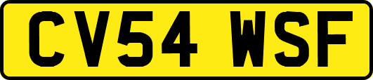 CV54WSF