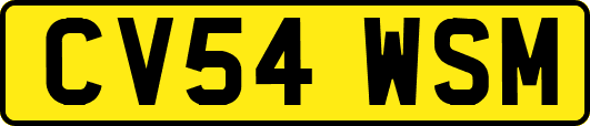 CV54WSM