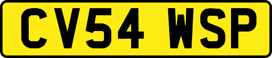 CV54WSP