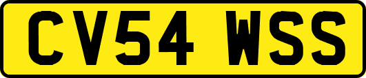 CV54WSS