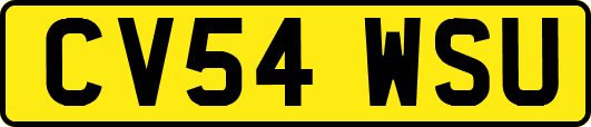 CV54WSU